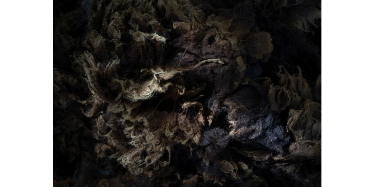 Black Wool