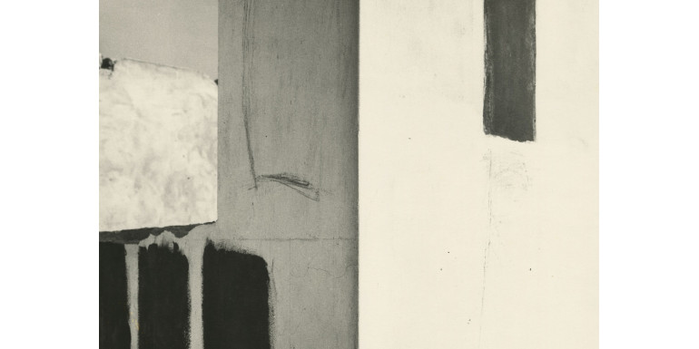 Workshop: From Ideogram to Photography